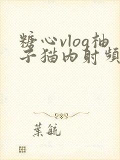 糖心vlog柚子猫内射频