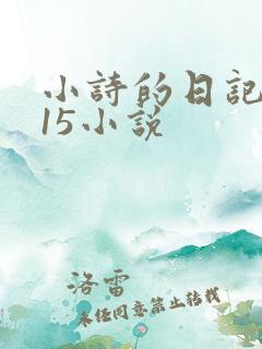 小诗的日记1一15小说