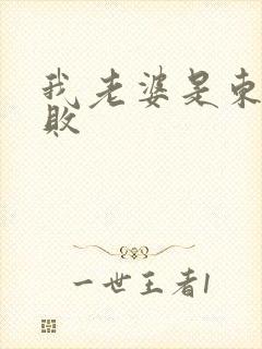 我老婆是东方不败