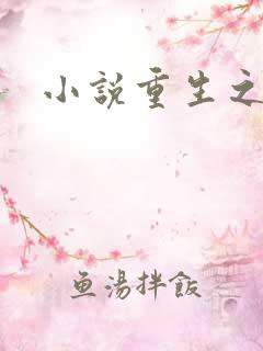 小说重生之官道