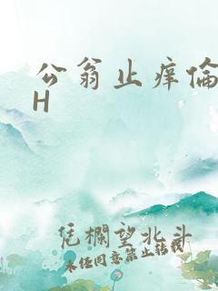 公翁止痒伦理DH