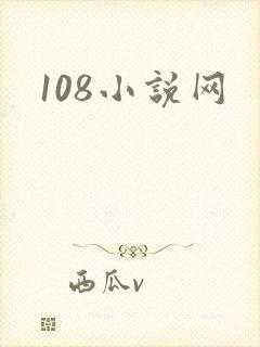 108小说网