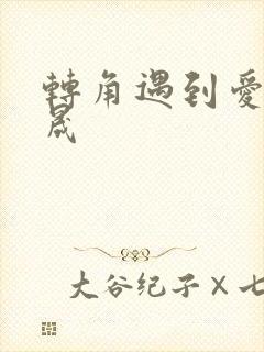 转角遇到爱 李晟