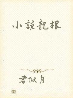 小说龙根