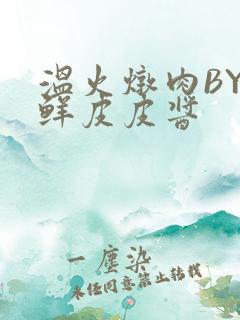 温火炖肉BY海鲜皮皮酱