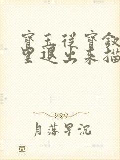 宝玉从宝钗身体里退出来描写