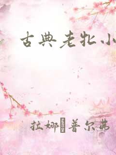 古典老牝小说