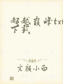 超越巅峰txt下载