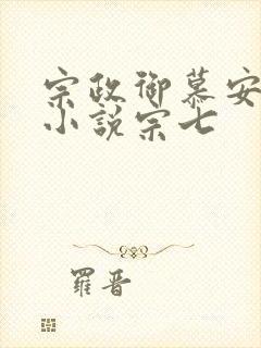 宗政御慕安安的小说宗七