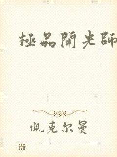 极品开光师阅读