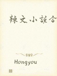辣文小说合集
