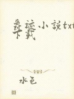 爵迹小说txt下载