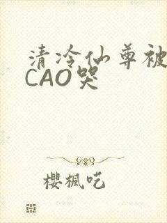 清冷仙尊被强制CAO哭