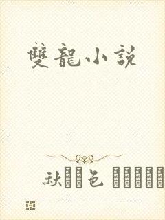 双龙小说
