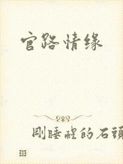 官路情缘