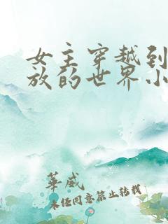 女主穿越到很开放的世界小说