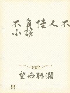 不负佳人不负卿小说