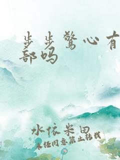 步步惊心有第二部吗