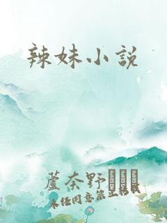 辣妹小说