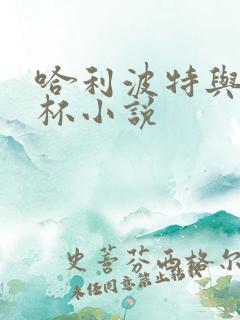 哈利波特与火焰杯小说