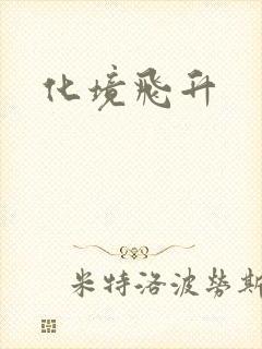 化境飞升