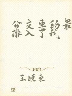 公交车的最后一排入了我