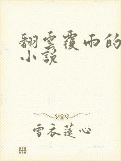 翻云覆雨的秘密小说