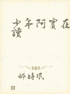 少年阿宾在线阅读