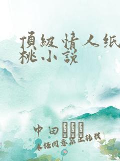 顶级情人纸皮核桃小说