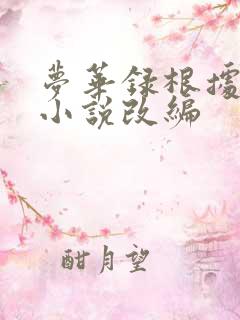 梦华录根据什么小说改编