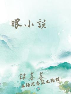 眼小说