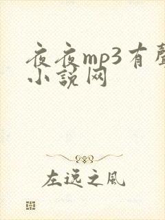 夜夜mp3有声小说网