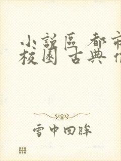 小说区 都市 校园 古典 偷拍