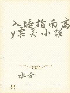 入睡指南高干by粟熹小说