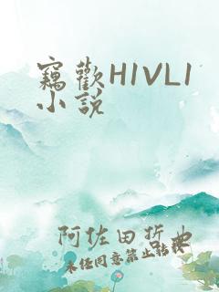 窃欢H1VL1小说