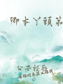 卿本丫头第二部