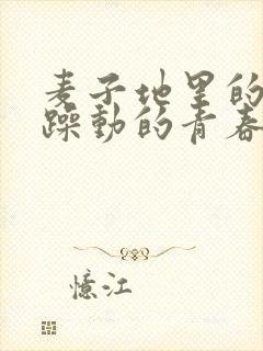 麦子地里的故事躁动的青春小说