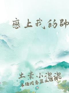 恋上我的帅和尚