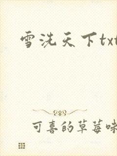 雪洗天下txt