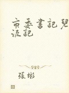 市委书记儿媳风流记