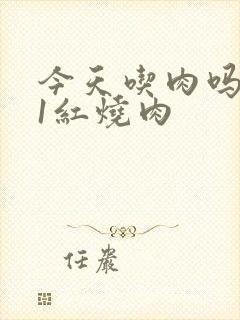 今天吃肉吗1V1红烧肉