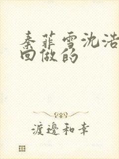 秦菲雪沈浩第几回做的