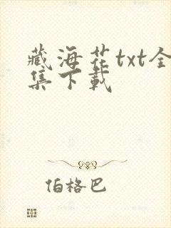 藏海花txt全集下载