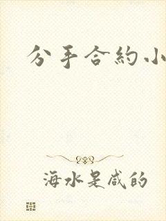 分手合约小说