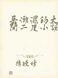 岳潮湿的大肥梅开二度小说