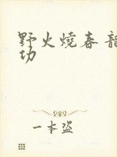 野火烧春 龙鸣功