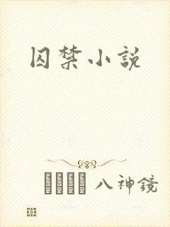 囚禁小说