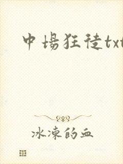 中场狂徒txt