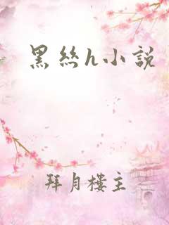 黑丝h小说