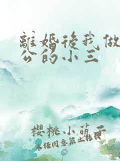 离婚后我做了老公的小三